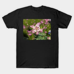 Columbine in Meadow T-Shirt